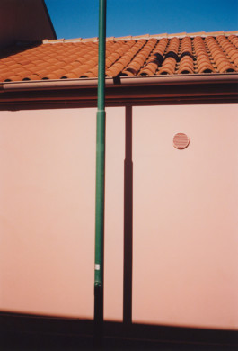 scenario